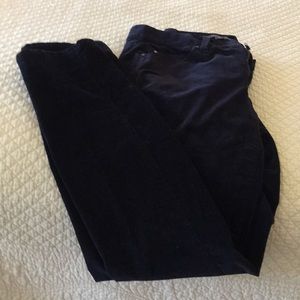Ann Taylor velour jeans